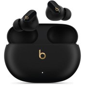 Resim Beats Studio Buds + Mqlh3Ee/A Gürültü Önleme Özellikli Gerçek Kablosuz Siyah-Altın Bluetooth Kulaklı 
