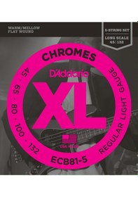 Resim D'addario Ecb81-5 Xl Chromes Flatwound Serisi Bas Gitar Tel Seti Regular Light 