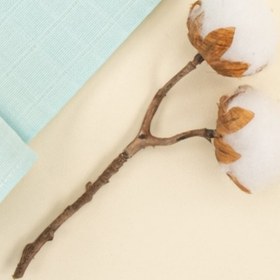 Resim 3lü Set - Müslin Örtü - Pudra - Turkuaz - Yeşil Çiçekler 