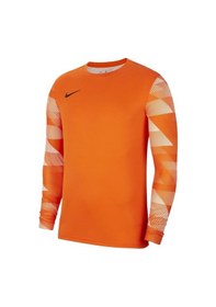 Resim Nike M Nk Df Park Iv Jsy Gk Cj6066-819 Kaleci Forma 001 