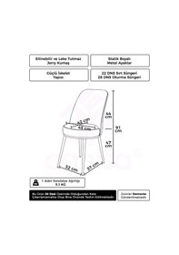 Resim Canisa Concept Dexa Serisi Mutfak Sandalyesi, Füme Sandalye Ayaklar Beyaz Füme Sandalye Beyaz Ayak 