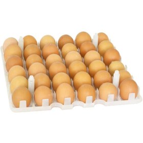 Resim Tavuk Kuluçka Gelişim Tablası 29x29 Cm 