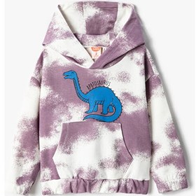 Resim Dinozor Baskılı Kapşonlu Sweatshirt Batik Desenli Kanguru Cepli Kulak Aplike Detaylı 