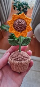 Resim El Örgüsü Saksı Çiçekler 