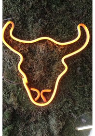 Resim Neon Tabela Neon Dekoratif Duvar Aydınlatması Hayvan Renkli 