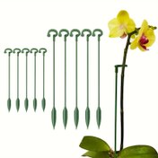 Resim 5 adet, Bitki Destek Çubukları, Plastik Bitki Kafesi Bahçe Bitki Çubukları Bitki Destek Halkası, Kapalı Bitkiler İçin Bitki Çubukları Orkide Amaryllis Sebzeler 