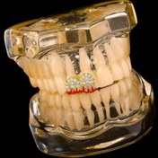Resim RICH ONE AND ONLY GRILLZ NO.7 (Ön Sipariş) 