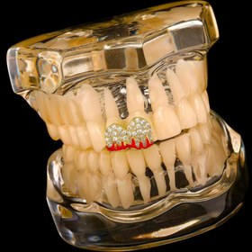 Resim RICH ONE AND ONLY GRILLZ NO.7 (Ön Sipariş) 