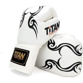 Resim Beyaz İpli Boks Eldiveni Çok Renkli 