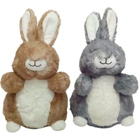 Resim Pb31548-23 Peluş Tavşan 23 Cm Çok Renkli 