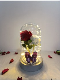 Resim Kırmızı Beyaz Güllü Işıklı Fanus Hediye 