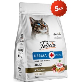 Resim Somonlu Kolajen Destekli Hipoalerjenik Düşük Tahıllı Yetişkin Kedi Maması 5kg 