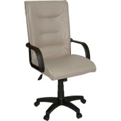 Resim Türksit Ersit Makam Koltuk 