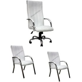 Resim Koltuk Stilim Diana Krom Makam Koltuk Takımı 