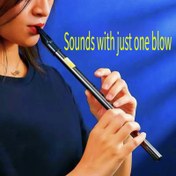 Resim İrlanda Krotchet Ahşap Rüzgar Çantası 6 Delik Başlangıç Dostu Profesyonel Metal Müzikal Alet Yetişkinler, Öğrenciler ve Öğretmenler için - Klasik Stil, Toz Kaplama, İki Ton Renk (Altın/Beyaz), Müzik Öğretimi, Klasik Tasarım, Detaylı El Sanatları 