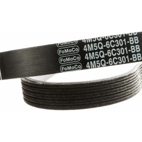 Resim Fomoco C-Max Vantilatör Kayış Kiti 1.6 Benzinli 2003-2017 Otosan 