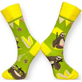 Resim Me-vo Tekli Yeşil Renkli Erkek - Kadın Unisex Esnek Nem Alabilen Pamuklu Koala Desenli Soket Çorap Yeşil 