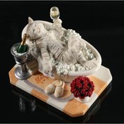 Resim Veronese Biblolar-wise Hayvanlar Alemi-banyo Sefası Yapan Kedi-14 