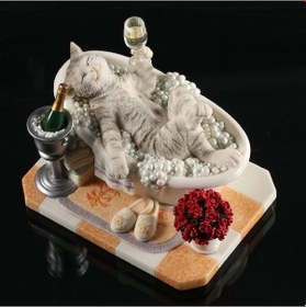 Resim Veronese Biblolar-wise Hayvanlar Alemi-banyo Sefası Yapan Kedi-14 