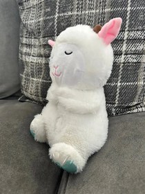 Resim Nefes Alan Uyku Arkadaşı Kuzu 