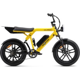 Resim Ape Ryder Colobus Premıum 750W - Sarı 