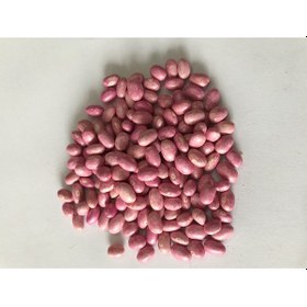 Resim Gina Oturak Fasulye Tohumu 500 GR 