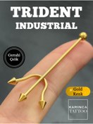 Resim Karınca Piercing Üç Oklu Poseidon Mızrak Kulak Industrial Köprü Piercing (karınca Tattoo) 