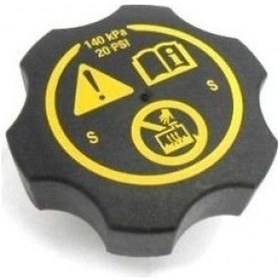 Resim Chevrolet Cruze Yedek Su Depo Kapağı (GM) 