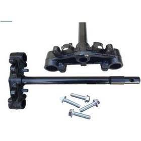 Resim Kuba Rot Alt Platin Kuba Blueberry 