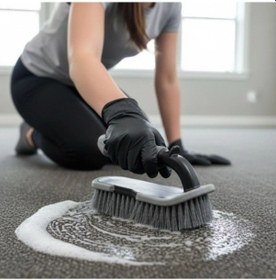 Resim Saplı Halı, Koltuk Ve Araç Temizlik Fırçası 1 