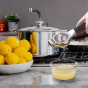 Resim Decisive 3x Limon Sıkacağı - Yeni Paslanmaz Çelik Manuel Limon Sıkacağı, Yüksek Mukavemetli Limon Kireç Sıkacağı Presi (Yurt Dışından) 