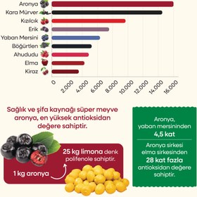 Resim Aronya Suyu (%100) 