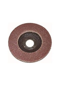 Resim Ekonomik Flap Zımpara Diski 115 mm 