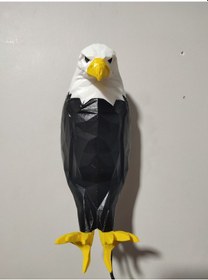 Resim Adaptörlü Renkli Kartal Aplik Modeli Yeni Sarı Gaga-pençe Siyah - Sarı 