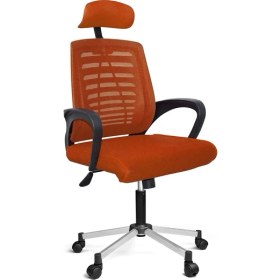 Resim Türksit Karizma File Müdür Koltuk Krom Ayak Gri 