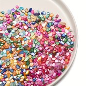 Resim 20g Kabuk Parçası Çakıl Torbası - Silikon Kalıp Doldurma, Tırnak Sanatı, Takı Kolyeleri & Reçine Çalkalayıcı Dolgular için Mükemmel 