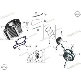 Resim Mondial Lifter Tansiyoner Contası Ritmica 100-110 Speedy Orj 