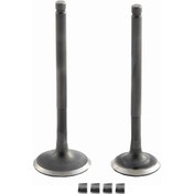 Resim Vtc Emme Egzoz Sübap Takımı Cygnus L 100 