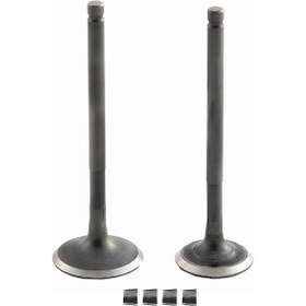 Resim Vtc Emme Egzoz Sübap Takımı Cygnus L 100 