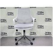 Resim Port Çalışma Koltuğu Açık Gri Krom Ayak 