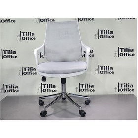 Resim Port Çalışma Koltuğu Açık Gri Krom Ayak 