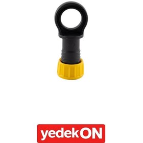 Resim Yüzüklü Körtapa 