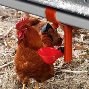 Resim 5 Adet Tavuk Ördek Kümes Otomatik İçme Cihazı, Kümes Besleme ve Su İçme Aracı Seti, Dayanıklı Plastikten Yapılmış, Kolay Kurulum ve Otomatik Su Eklemesi, Kendiliğinden Ayarlanan Tasarım ile Uygun Bahçe Çiftçiliği için 