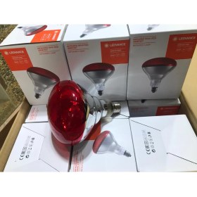 Resim Üzümoğlu Petshop Ledvance 250W Infrared Isıtıcı Lamba 1 Adet Tavuk Civciv Kümes Isıtıcı 
