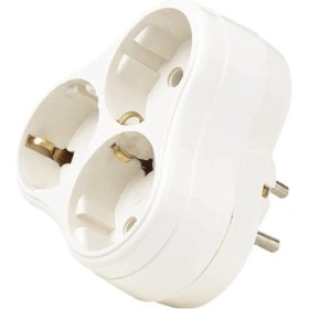 Resim Orel Üçlü Topraklı Papatya Golyat - 1211 