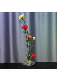 Resim Flora Design-balance Series Cam Vazo Şeffaf 