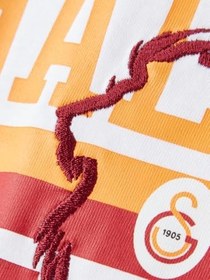 Resim Galatasaray Kadın T-Shirt K252145 