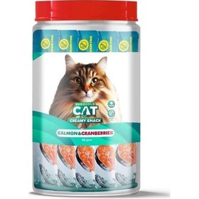 Resim Eurogold Cat Creamy Somon - Kızılcık Sıvı Kedi Ödül Maması 30 x 15 G 
