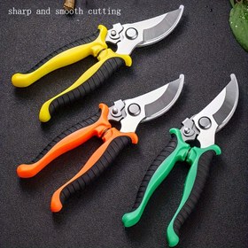 Resim ProCut Bahçe Budama Makasları - Çabasız Kesme, Bahçecilik, Budama ve Şekillendirme için Keskin Paslanmaz Çelik Bıçaklar - Rahat Tutuş ve Azaltılmış Yorgunluk için Ergonomik Tutamaklar - Çağdaş Stil, Metal Malzeme 