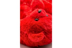 Resim Twigy Kadın Hayvanlı Kırmızı Teddy Panduf Tekstil Materyal ile Rahat Kullanım Sunar 36/41 